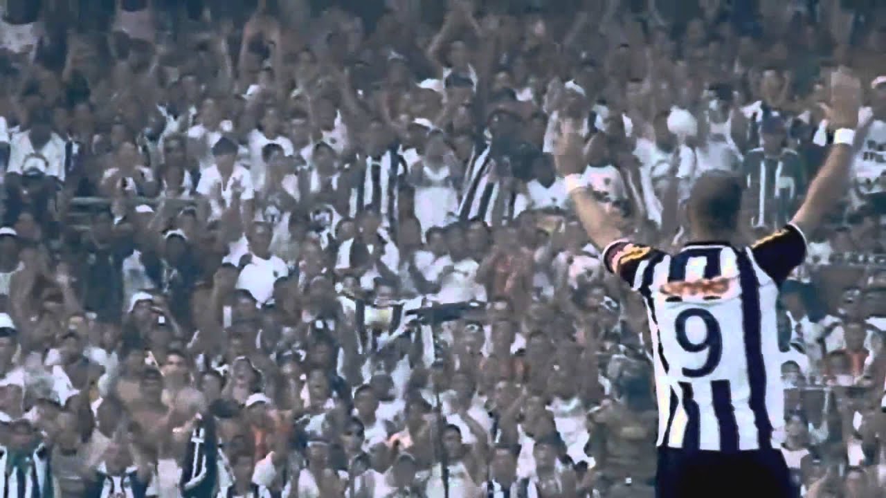 Galo final