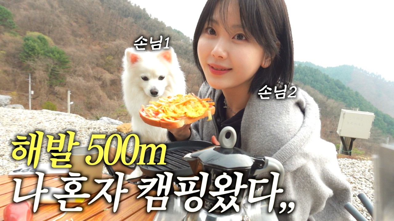 여자혼자 해발500m에서 강아지랑 첫 캠핑 ASMR