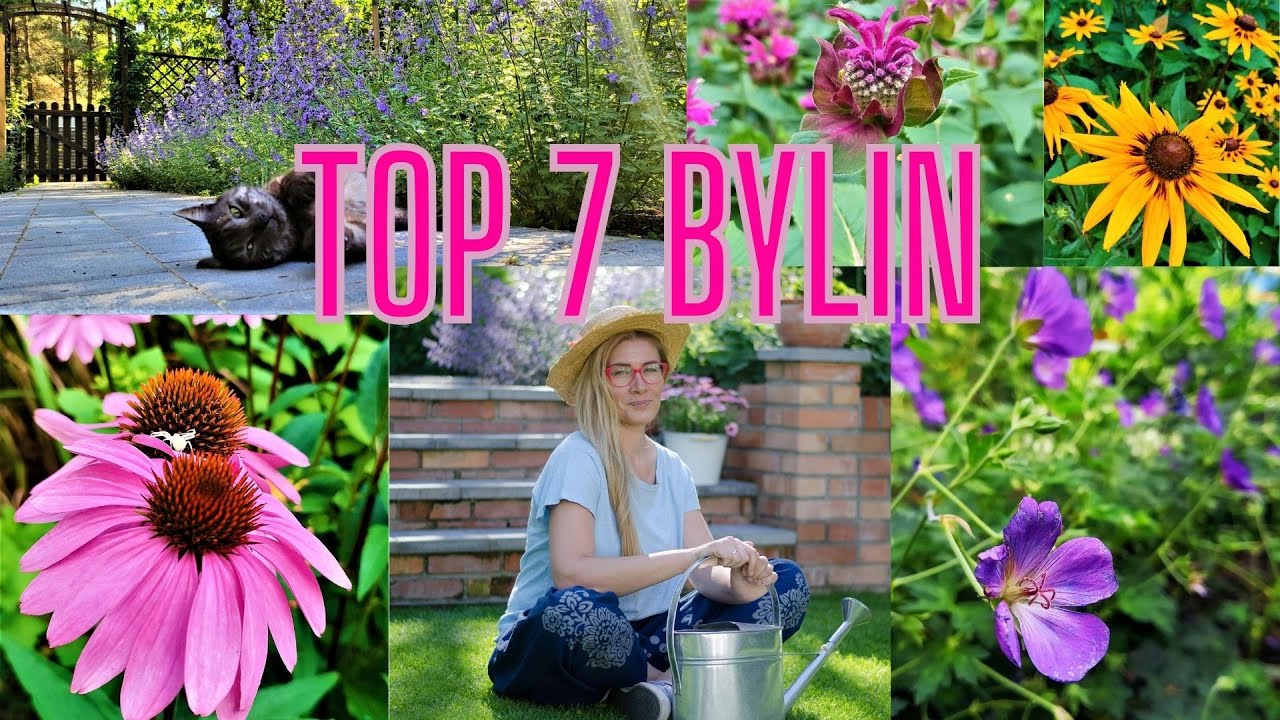 Top 7 bylin które musisz mieć w ogrodzie - długo kwitną i są łatwe w uprawie!