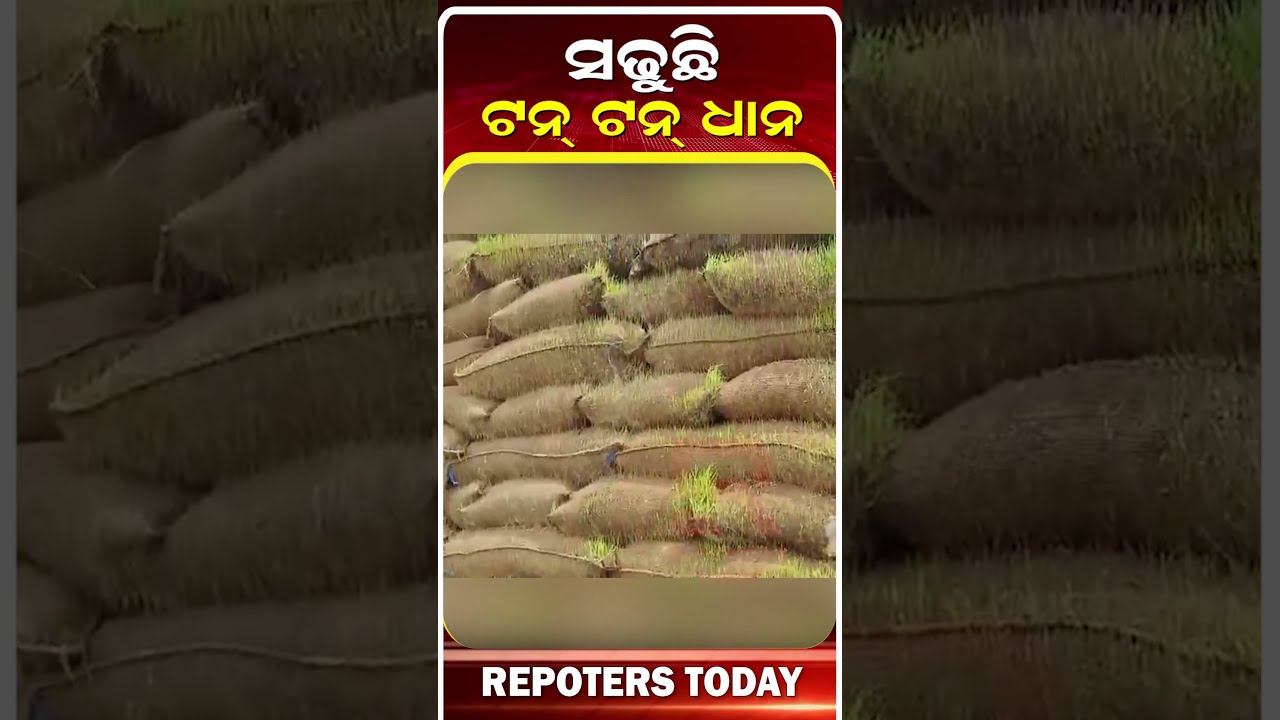 ମଧ୍ୟପ୍ରେଦଶରେ ସଢୁଛି ବିହନ, ଅବହେଳାକୁ ନେଇ ପ୍ରଶ୍ନ