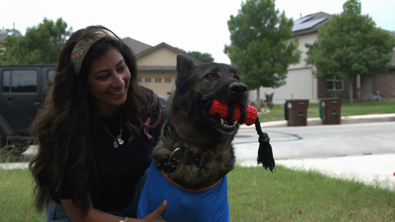 US War Dogs - Supporting retired MWDs like Jack