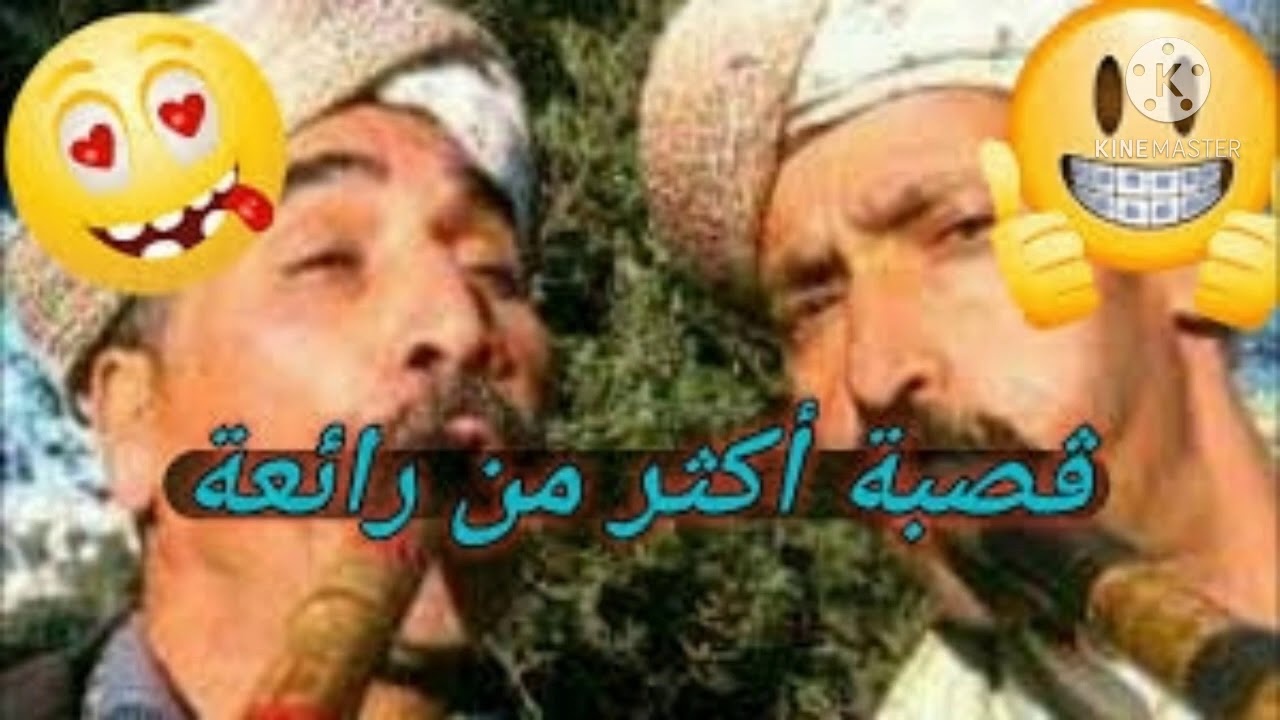 سبع سنين يسيل الدم.. قصبة شاوية اشطح حتى تغلب🤪😵🤯❤️