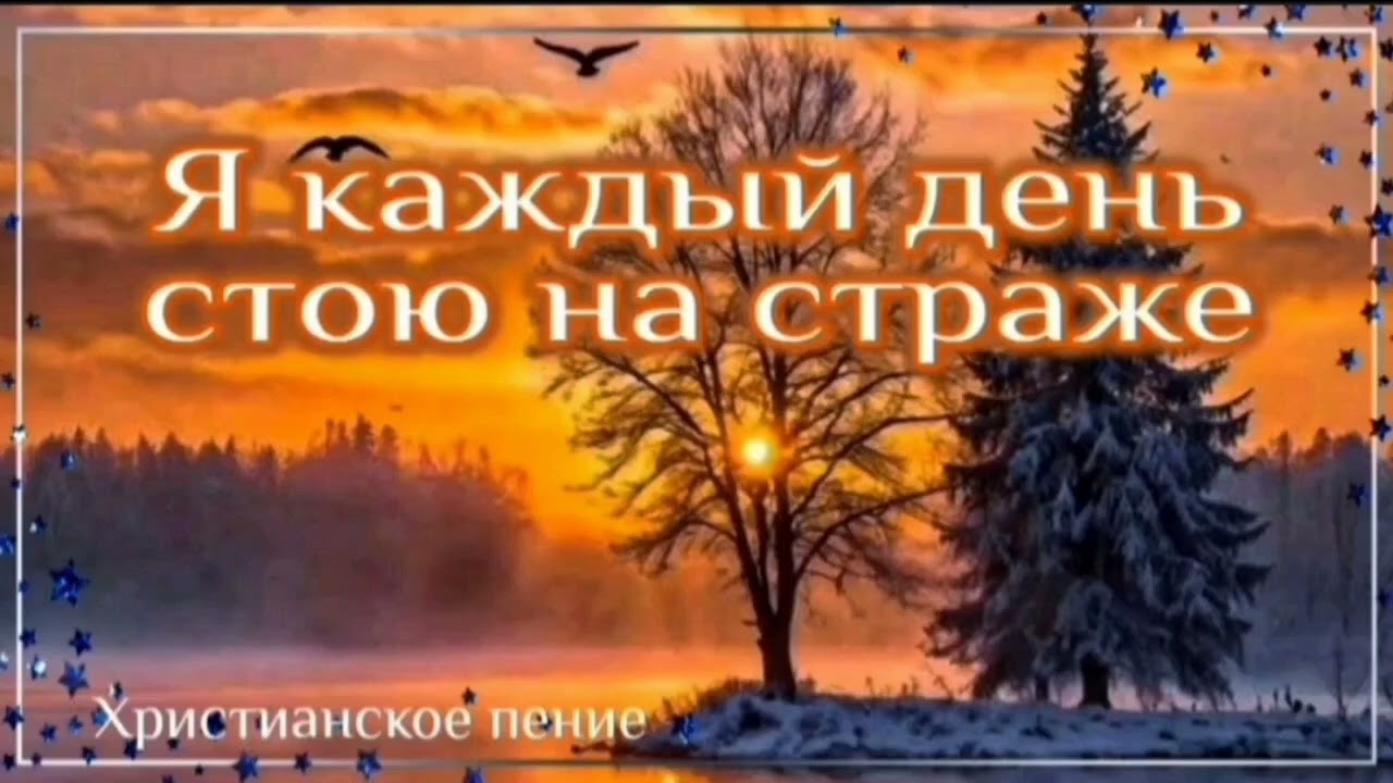 Я каждый день стою на страже