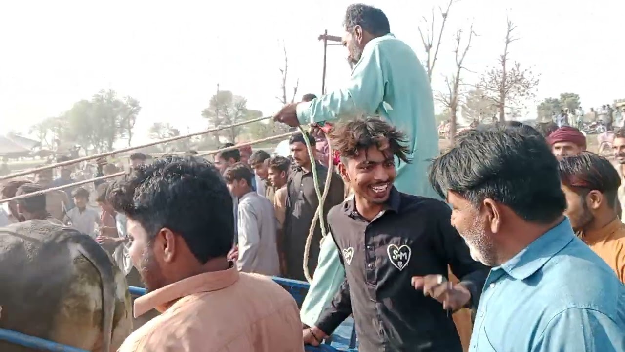 سوار اسلم خان بلوچ ویڈیو دیکھ کر حیران ہو جائیں گے🐄🐅🐅🐂🐂🤼🤼#viral# video# for you#