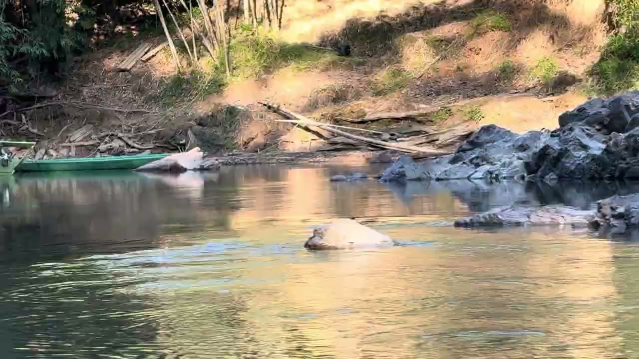 Perjalanan mengharungi Sungai Merirai, Baleh, Kapit