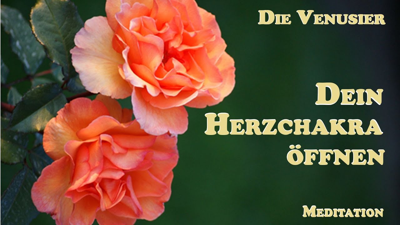 Dein Herzchakra öffnen | Die Venusier | Meditation