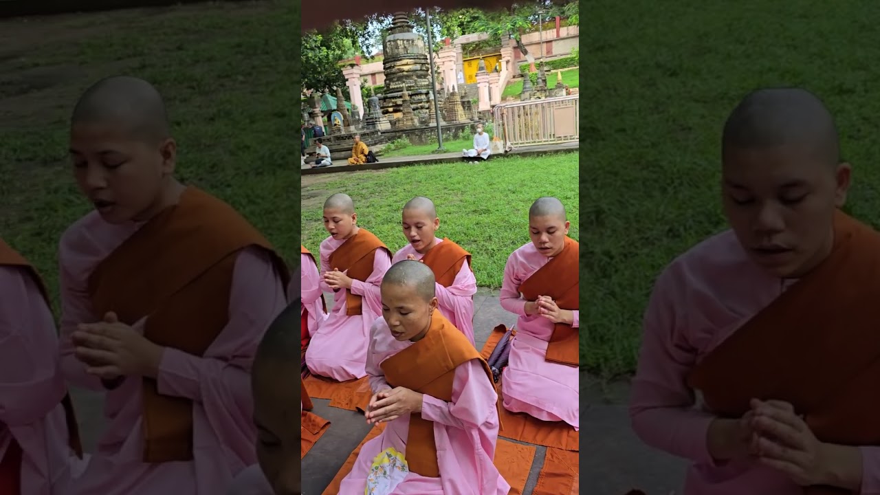 Myanmar nuns chanting under the Bodhi tree