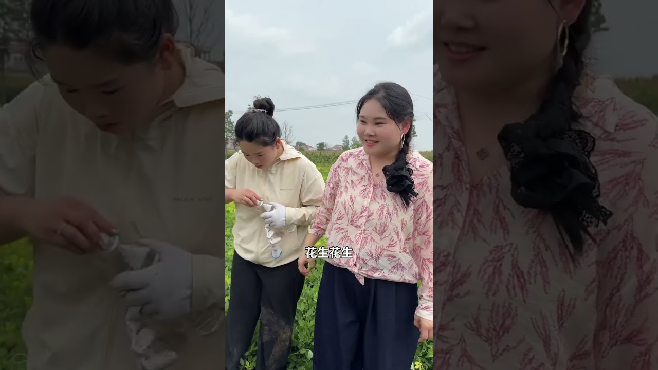 丰收季的惊喜是南瓜的甜与花生的香！南瓜热销不停，软糯口感征服味蕾；花生也进入“最佳采摘期”现摘现吃新鲜直达，把田间的好滋味一键囤回家#抖音美好丰收节  #中国农民丰收节  #抖音新农人