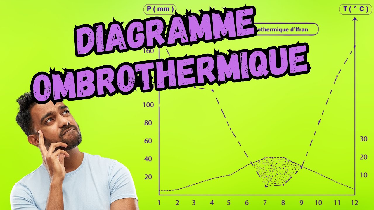 diagramme ombrothermique d'ifrane