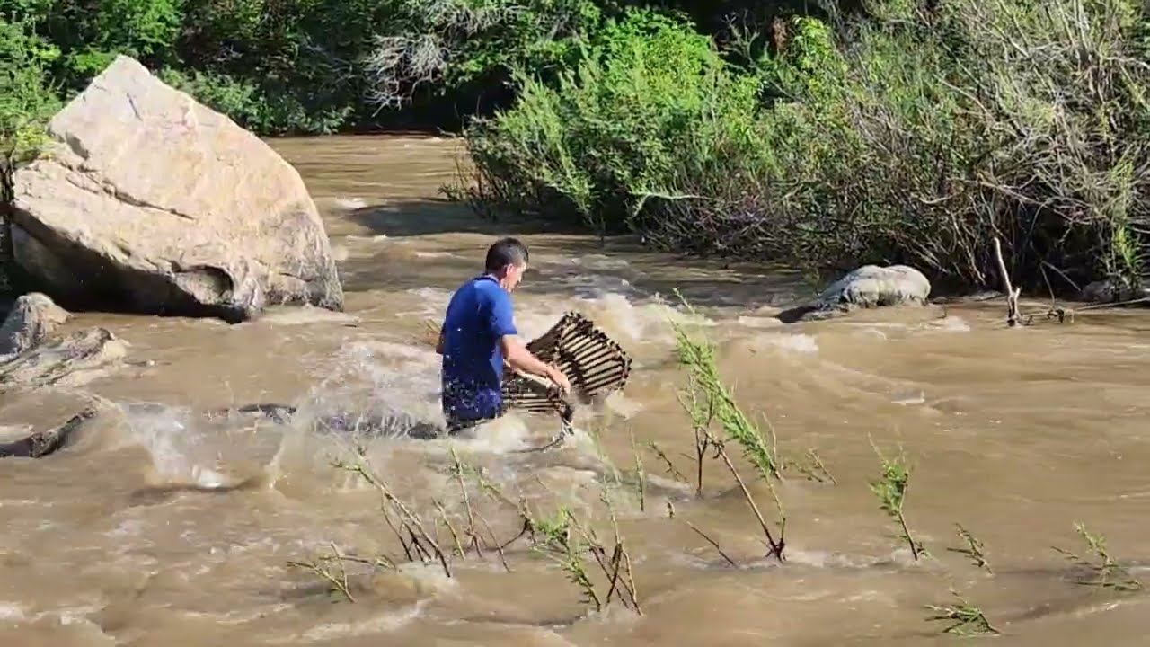 SACANDO  CHACALES  CON CHACALERAS 🦐🦐.👍