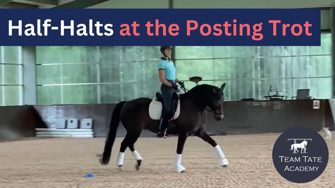 Breaking It Down: Half-Halts at the Posting Trot
