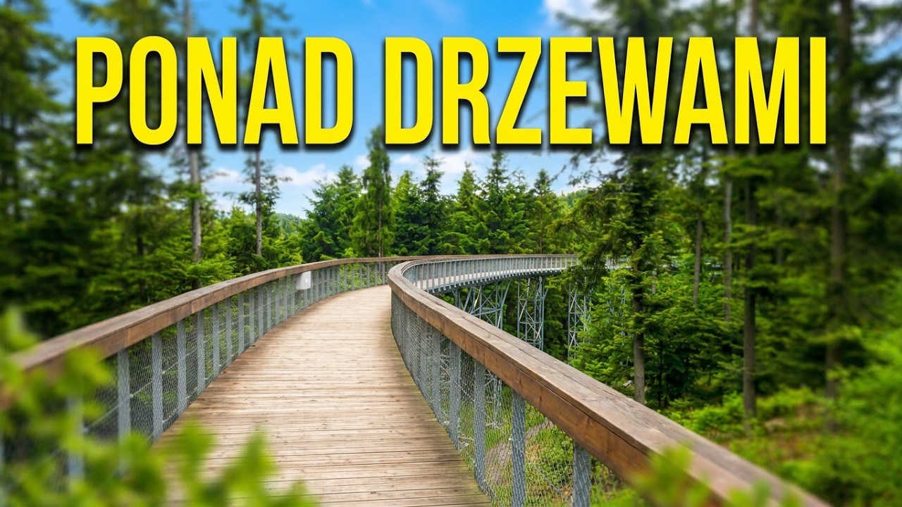 Ścieżka w Koronach Drzew -  Ciężkowice
