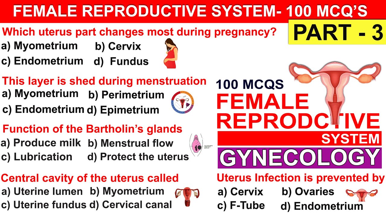 Reproductive System mcqs part 3 | Mcqs on reproductive system | human reproductive system mcqs