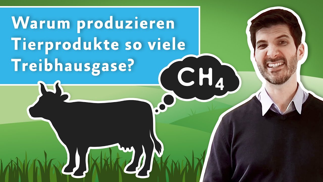 Klimakiller Tierindustrie? Warum Tierprodukte so viele Treibhausgase produzieren