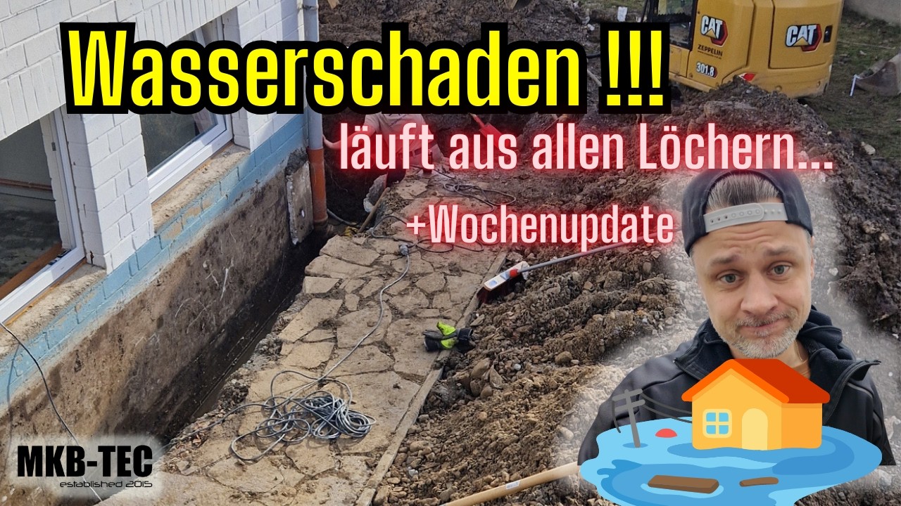 Das Leben hat mich überholt! | Wochenupdate | #einfachmachen #immerweiter