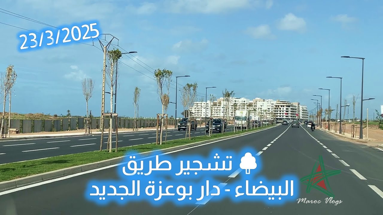 🌳🌿تشجير طريق البيضاء - دار بوعزة الجديد