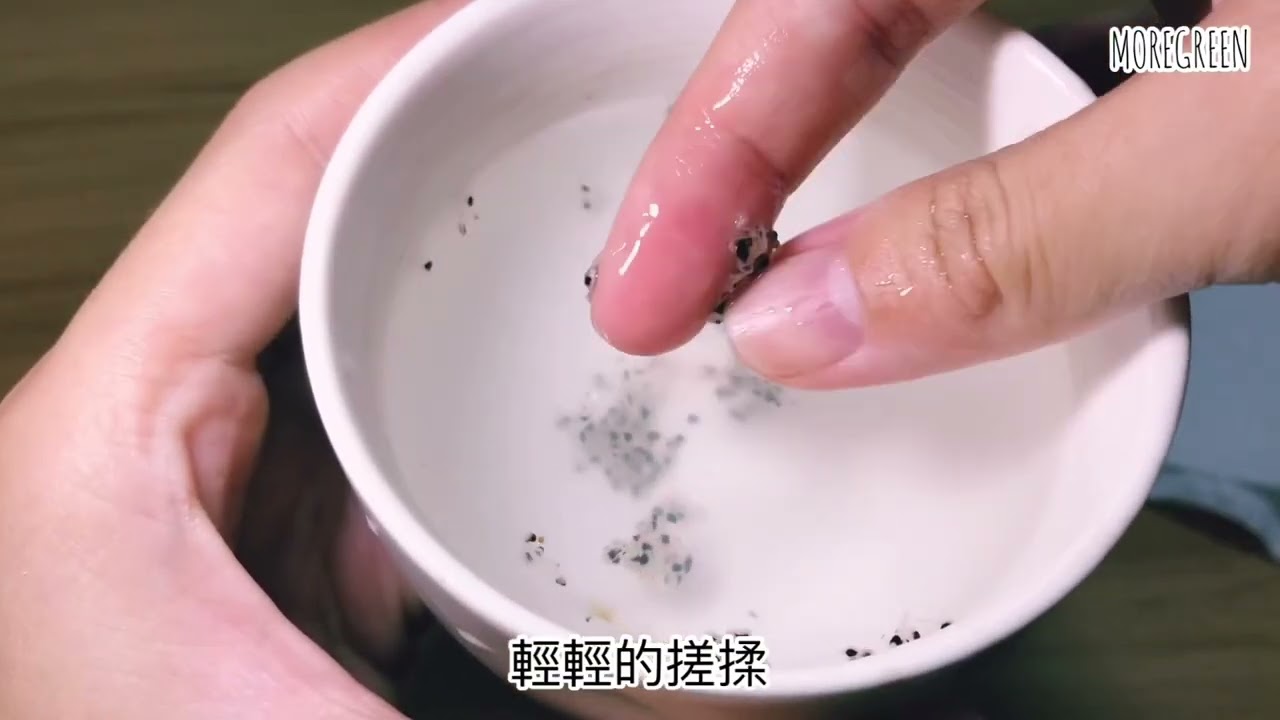 🌵仙人掌種子收成教學🌵收成後處理方式