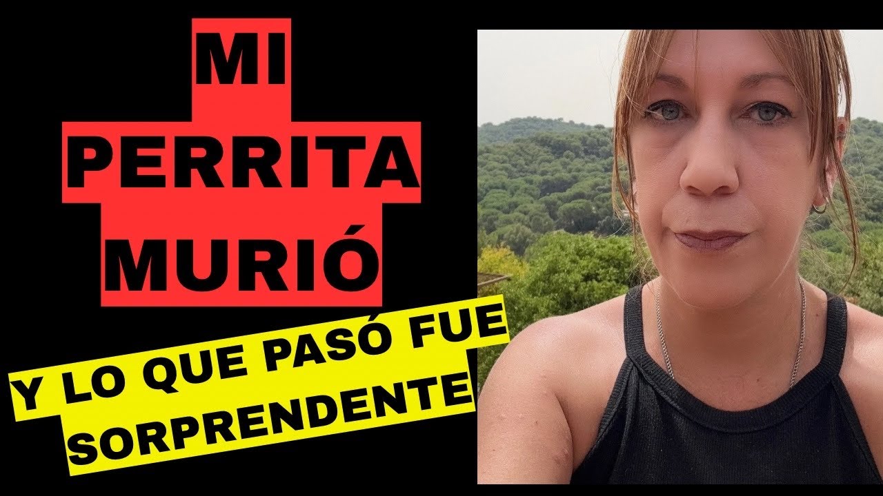 LO QUE PASÓ FUE SORPRENDENTE #espiritual #espiritualidad #mediumnidad 