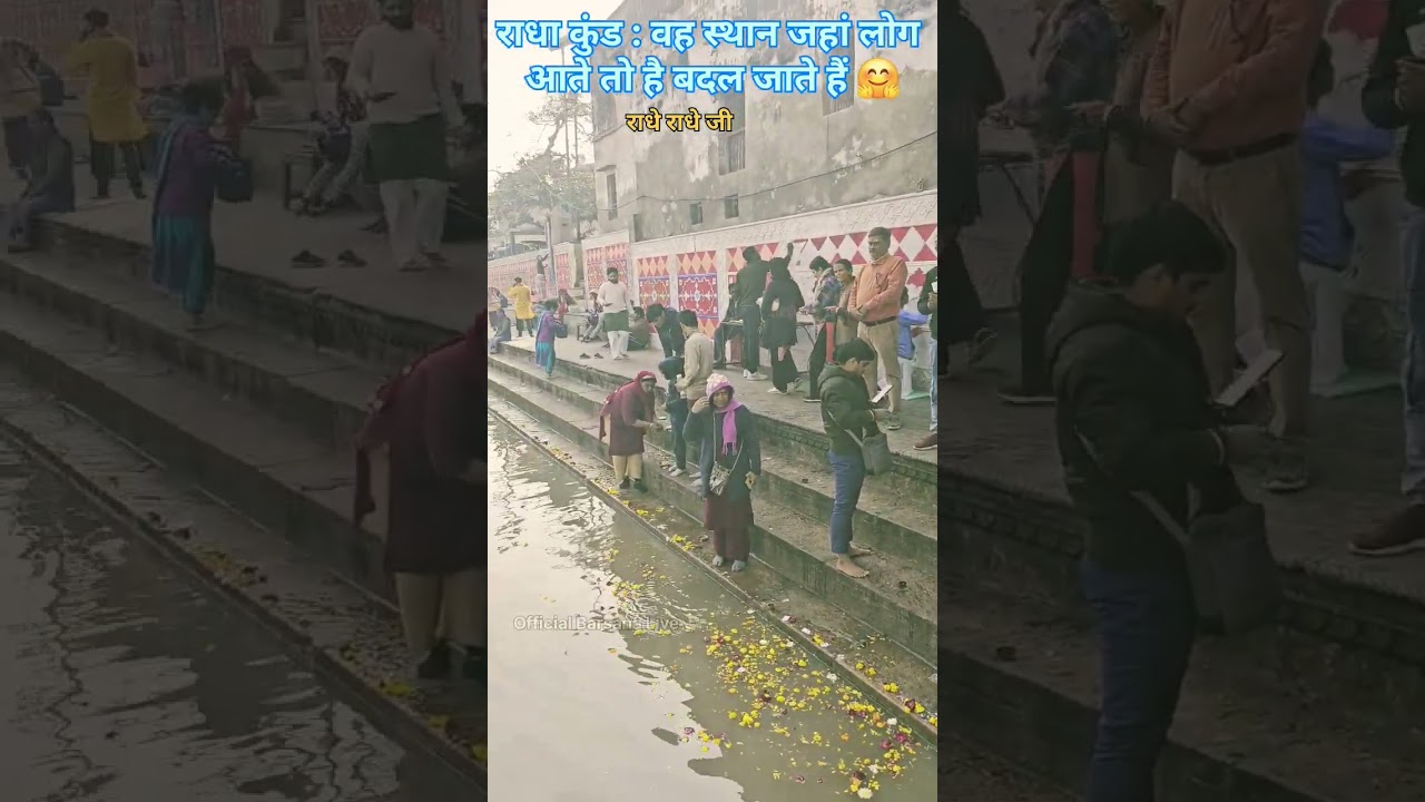 Brij 84 kos Yatra | Radha Kund Govardhan Parikrama Marg #shorts #brij84kos #radheradhe