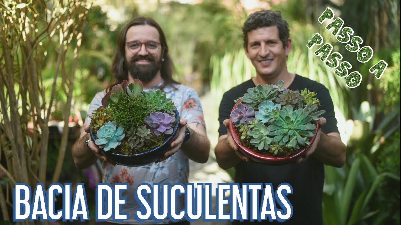 ARRANJO de SUCULENTAS na BACIA - DIY Charles jardins