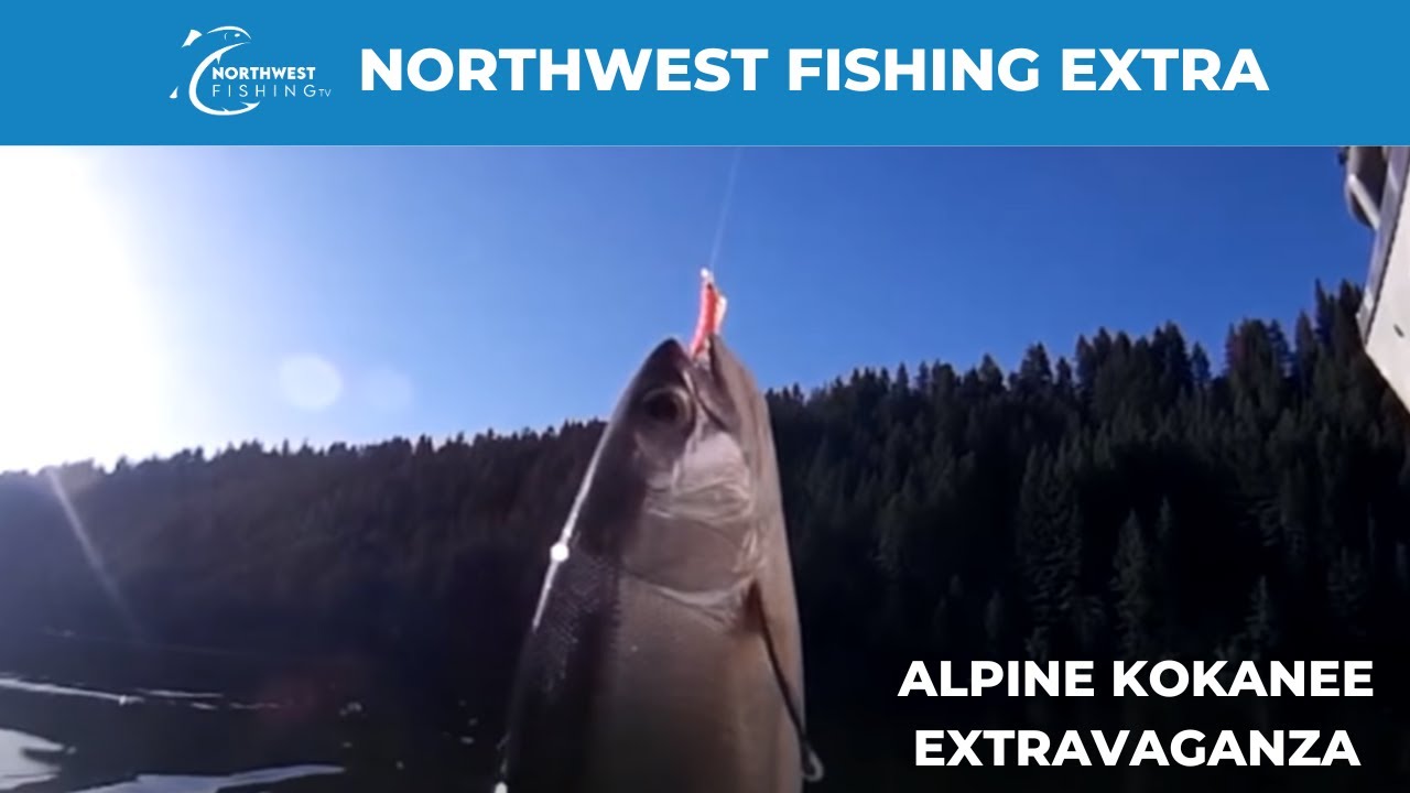 Crazy Catching Keechelus Kokanee (Alpine Kokanee Extravaganza!) | Northwest Fishing Extra