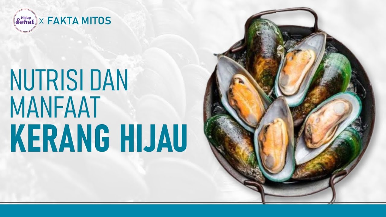 Doyan Kerang Hijau? Ini Nutrisi, Manfaat dan Cara Mengolahnya | Hidup Sehat tvOne