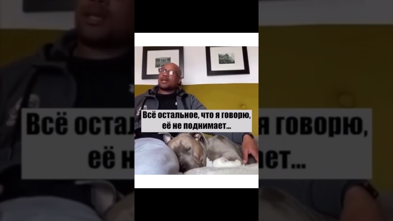 курица 🍗🐔🐣🐤🐥🥚