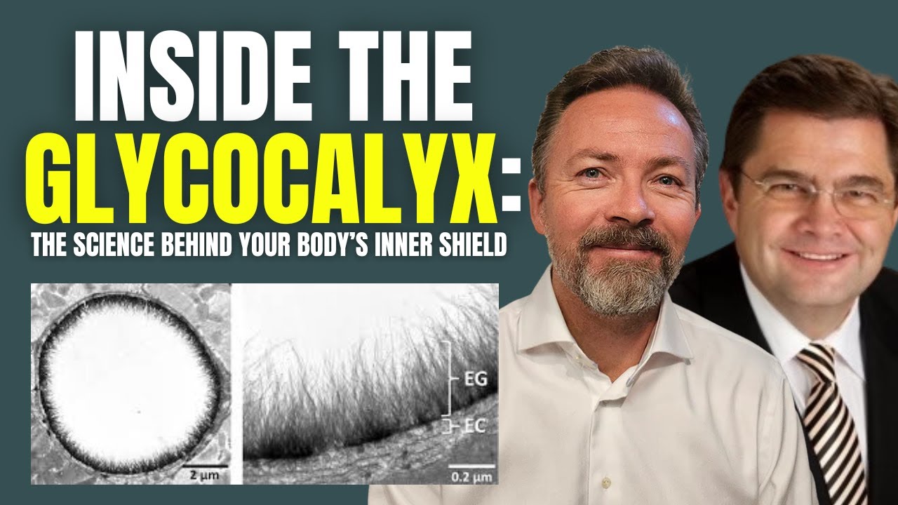 Inside the Glycocalyx: The Science Behind Your Body’s Inner Shield