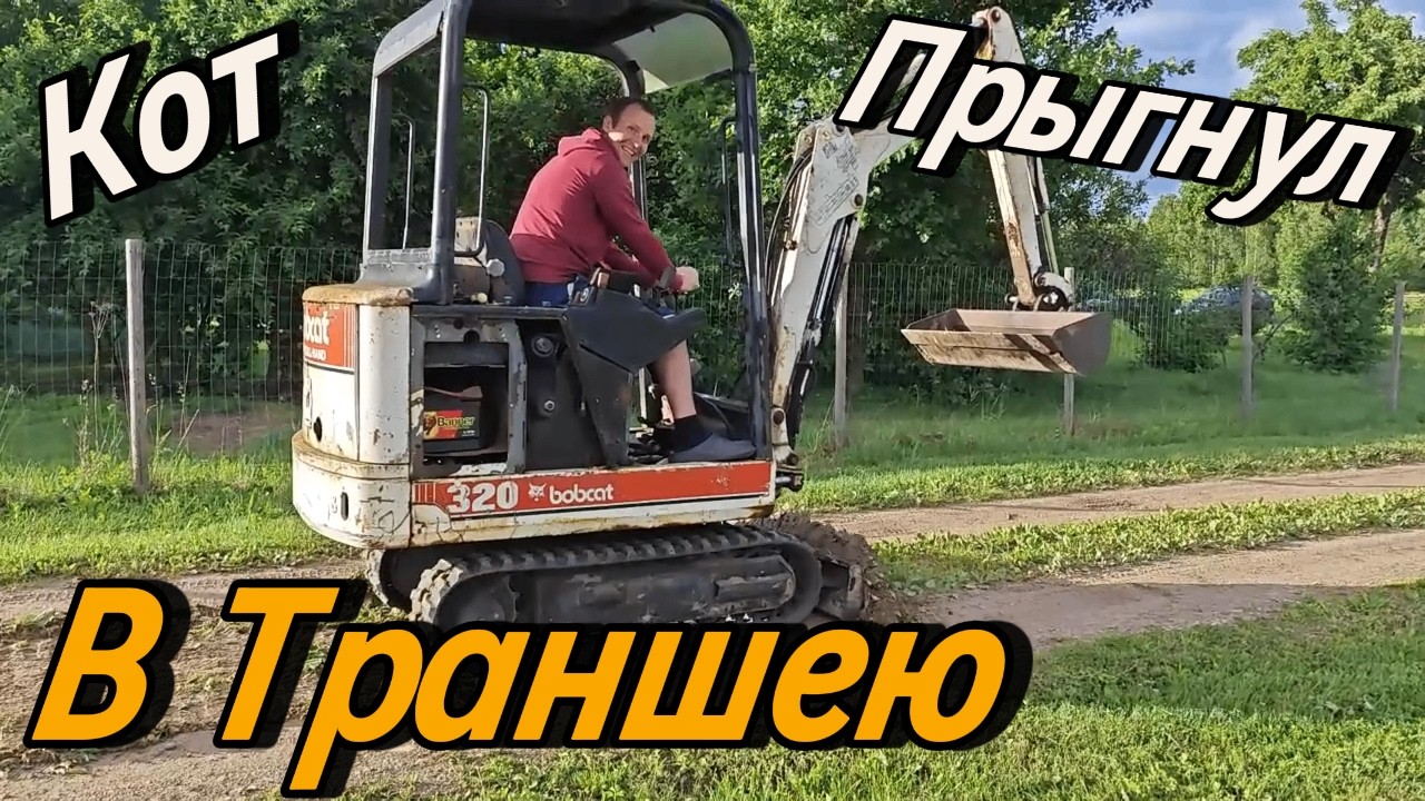 💯Кот прыгнул в траншею  #serverok #AndrejsTolkačovs