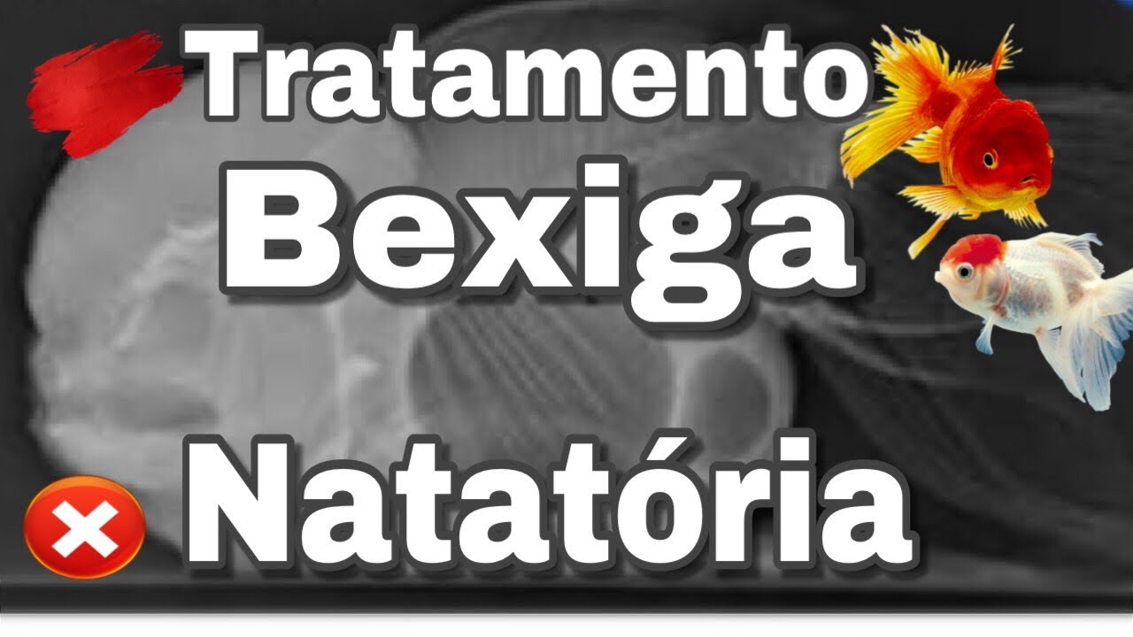 TRATAMENTO BEXIGA NATATÓRIA - DEU RUIM!