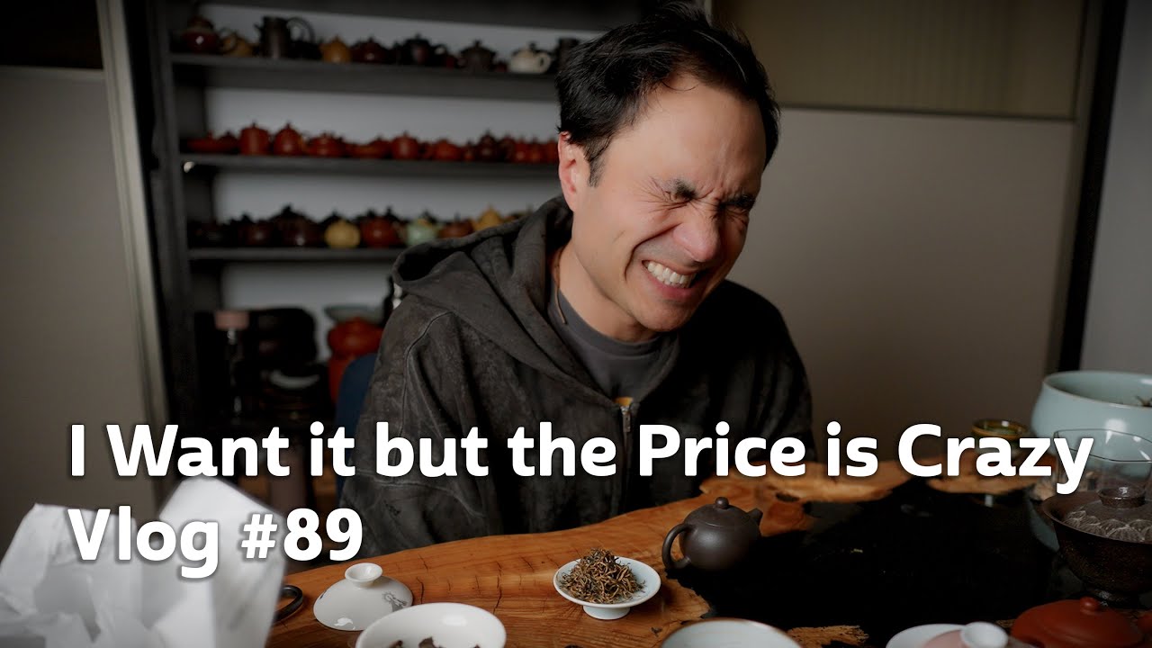 Why does it have to be So Expensive?! RAW Vlog #89