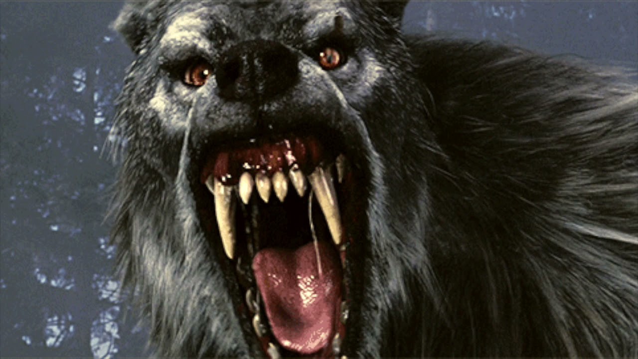 Radio Drama: Night of the Wolf - Vincent Price