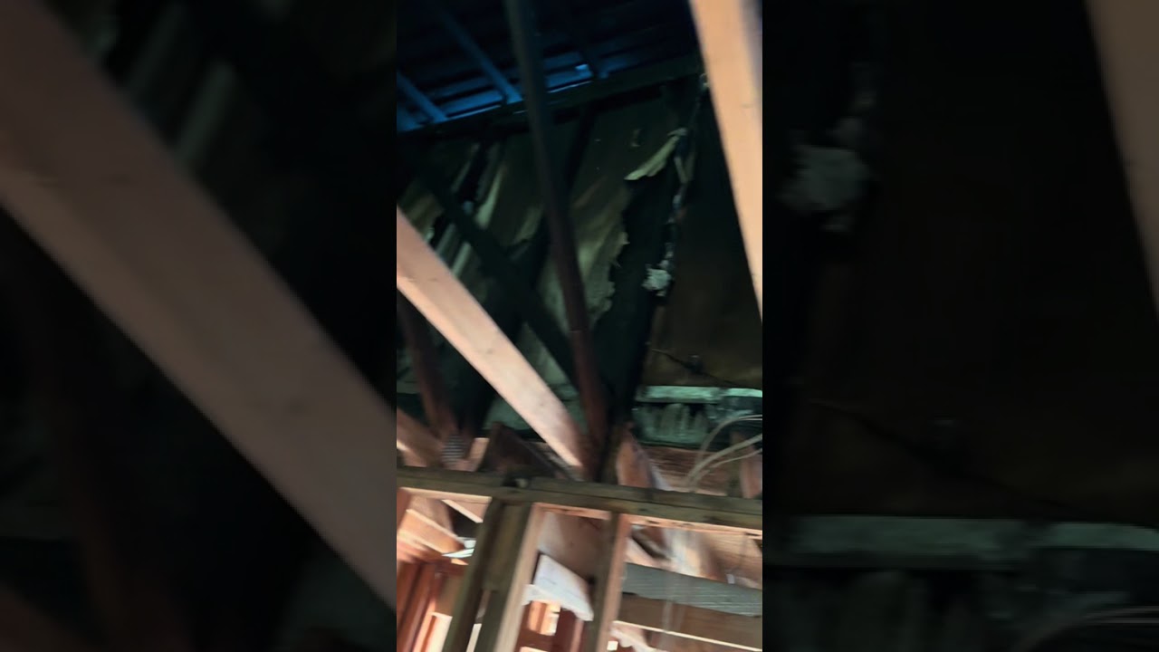 Fire Damage from Torch-Down Roofing Gone Wrong | Restoration Walkthrough