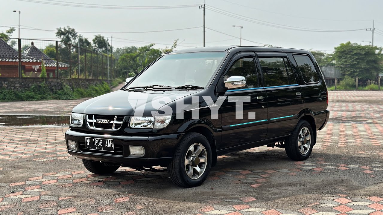 Black Panther 2002 | 0857-0000-0933 | Grade A | SHYT.