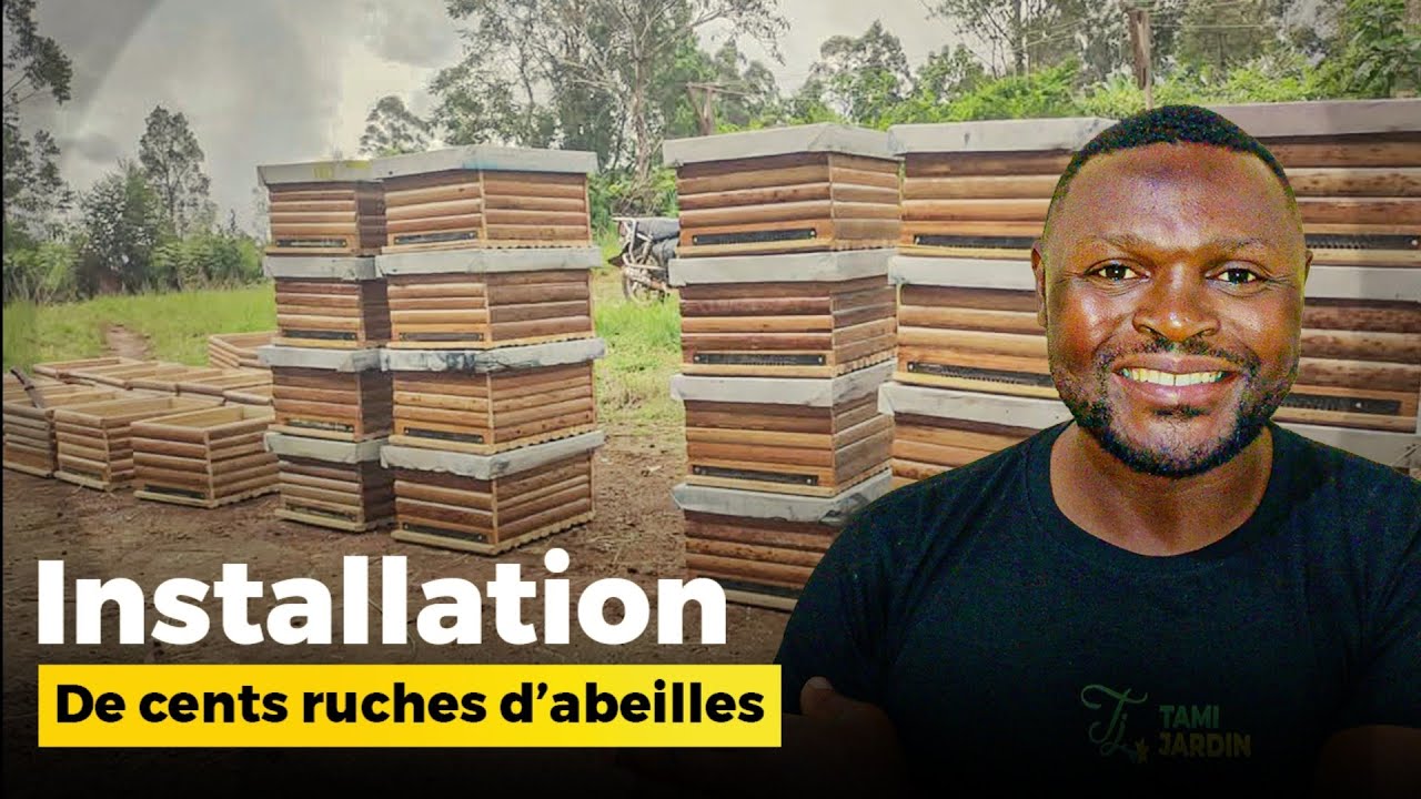 Installation de 100 ruches d'abeilles