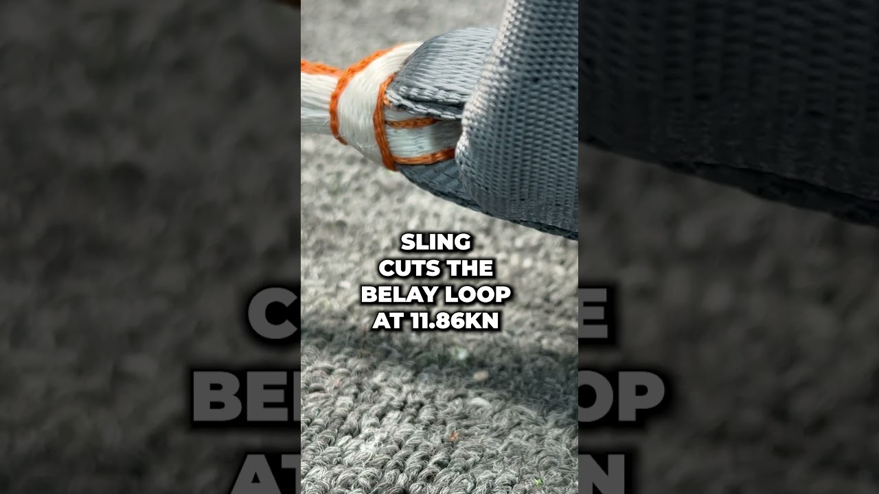 Dyneema Sling vs Belay Loop
