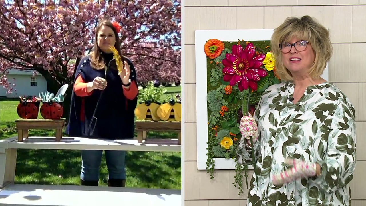 Marigold 24