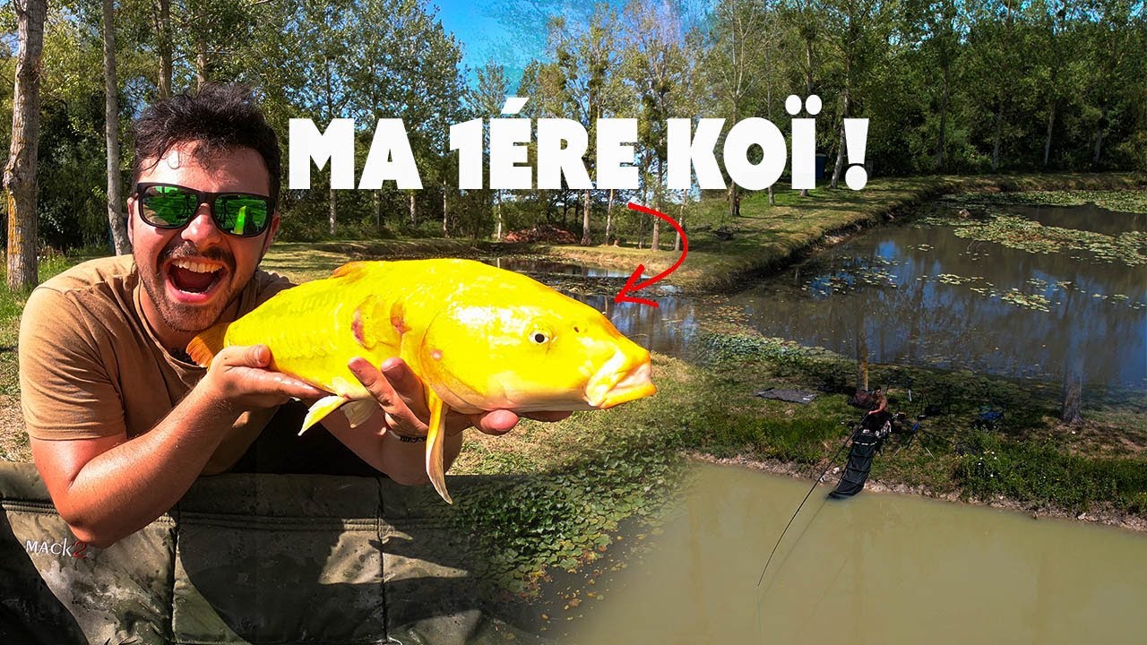 Je pêche une 1ère CARPE KOÏ  dans un TOUT NOUVEAU PLAN D'EAU !! -Peche de la carpe au coup