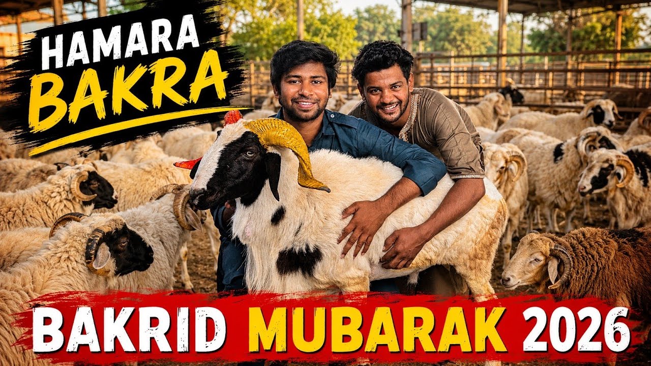 Bakrid Mubarak 2026 ❤️ Eid al-Adha mubarak 2026 | Thing what we did on Bakrid