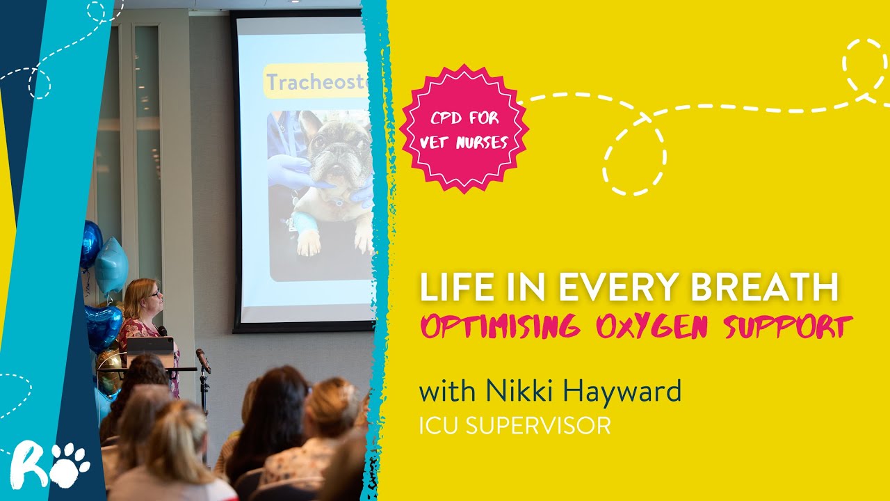 Life in Every Breath: Optimising Oxygen Support