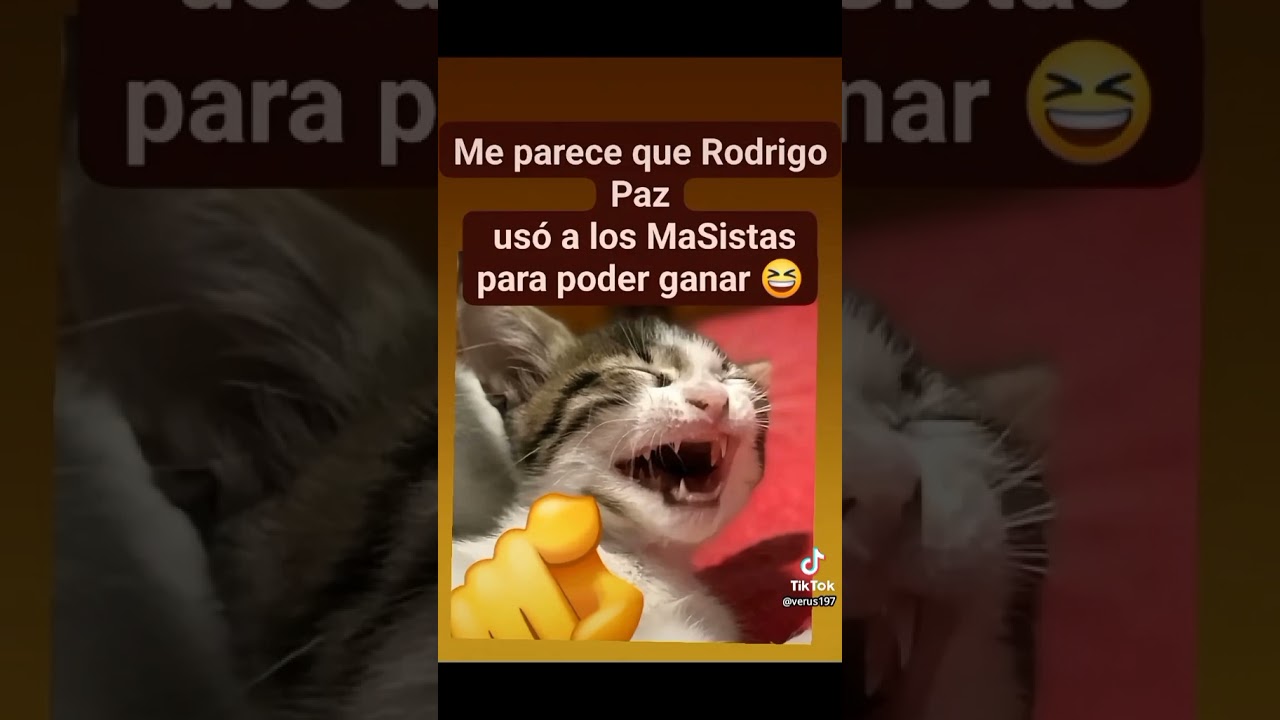 #eleccionesbolivia #pazlara #masistas