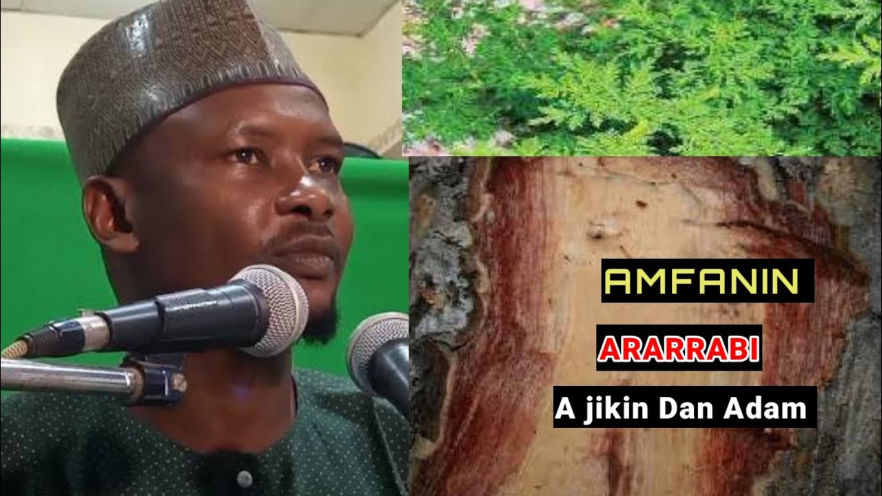 Amfanin Ararrabi A jikin Dan Adam