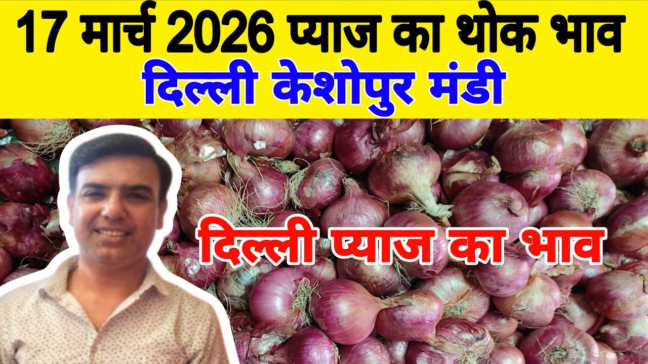 दिल्ली केशोपुर मंडी | 🧅Today onion rates | Today Onion price | Piyaj | 17 March 26 #pyaj #mandiprice