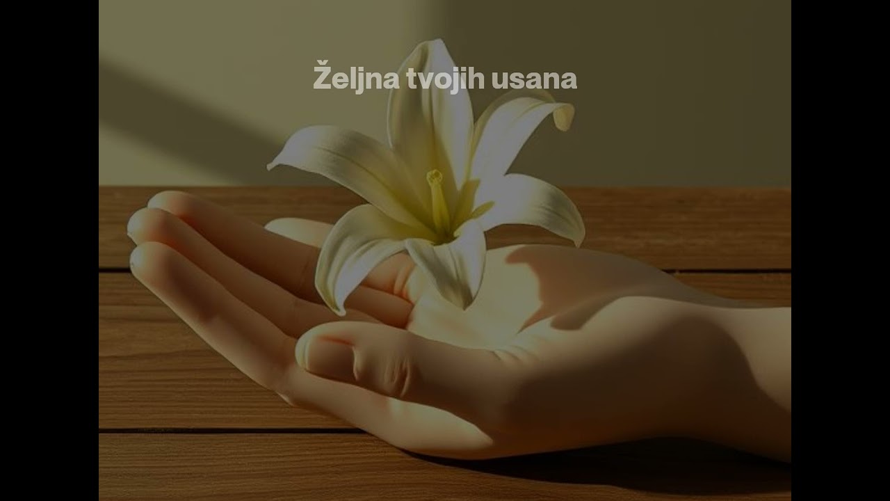 Niki - ANĐELE-2026