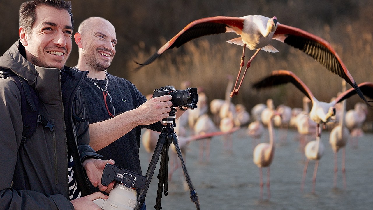 Une journ&eacute;e avec @DamienBernal : Photo animali&egrave;re