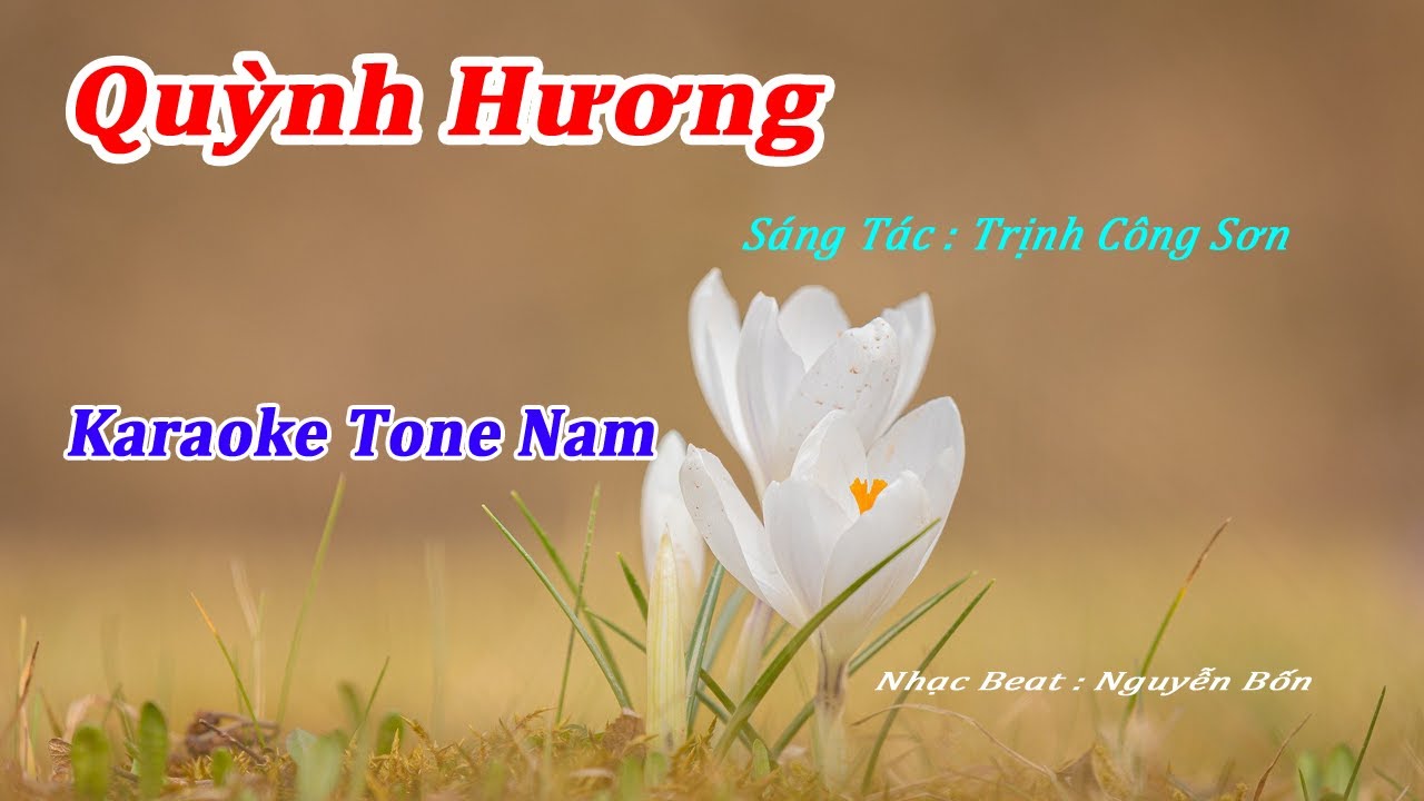 Karaoke Quỳnh Hương Tone Nam