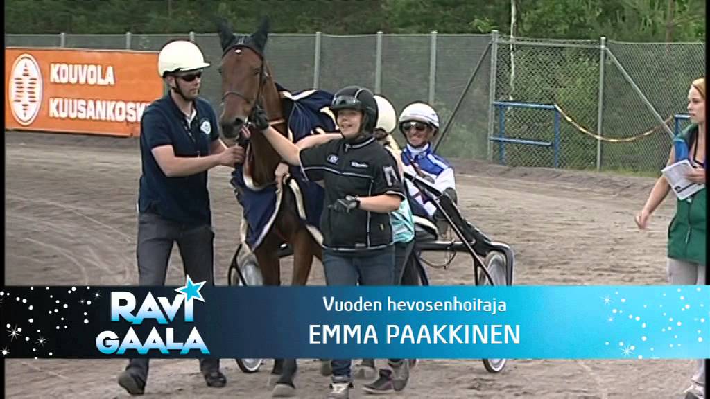 Ravigaala 2013 - hoitaja, omistaja, kasvattaja, valmentaja, ohjastaja