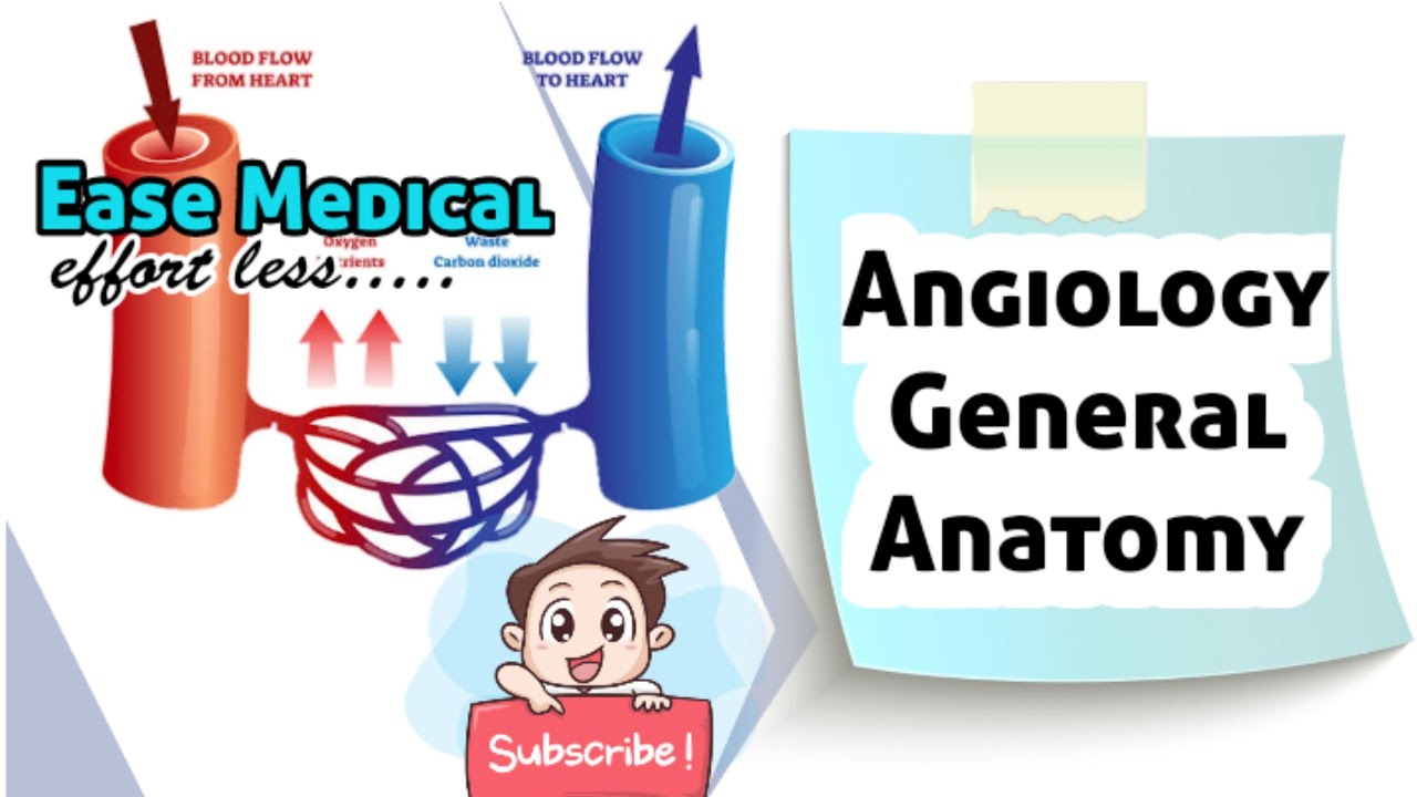 Angiology General Antomy Medical videos #Ease Medical #Easemedical..