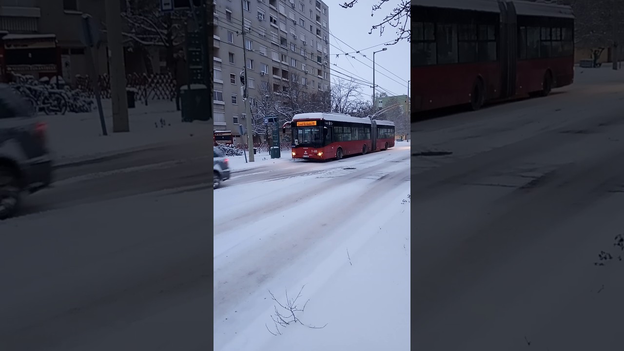 T-460 a h&oacute;ban megy #szkt #szeged #t&ouml;megk&ouml;zleked&eacute;s