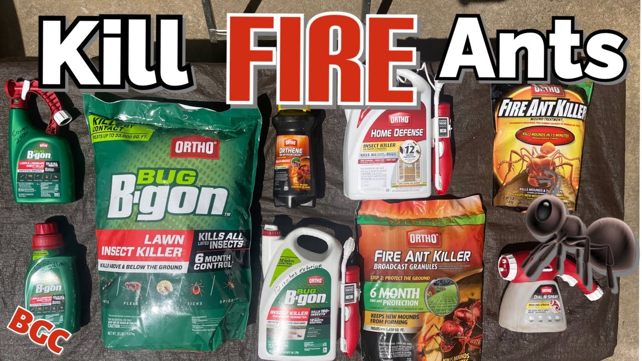 How to KILL FIRE ANTS // All Lawn insect control